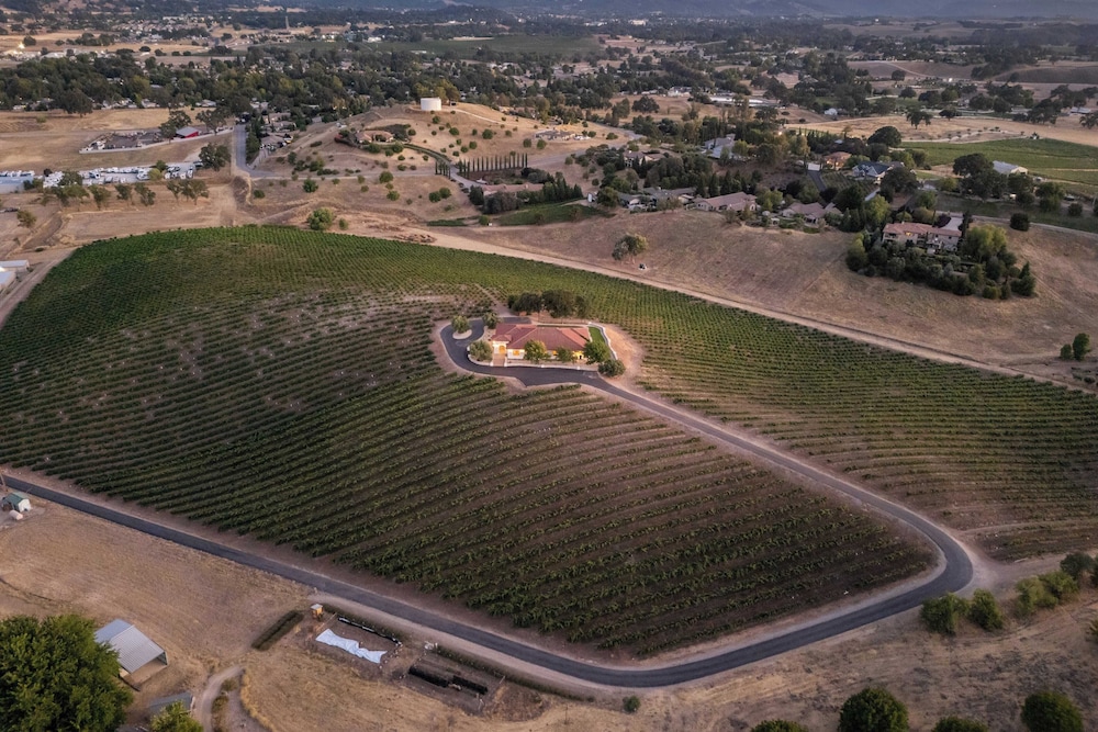Wine Country Escape w/ Views + Wine Cellar & Gym Caterina Dusi Vineyard by Avantstay