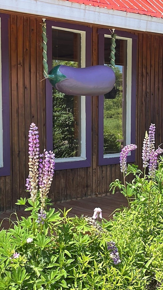 L'Aubergine