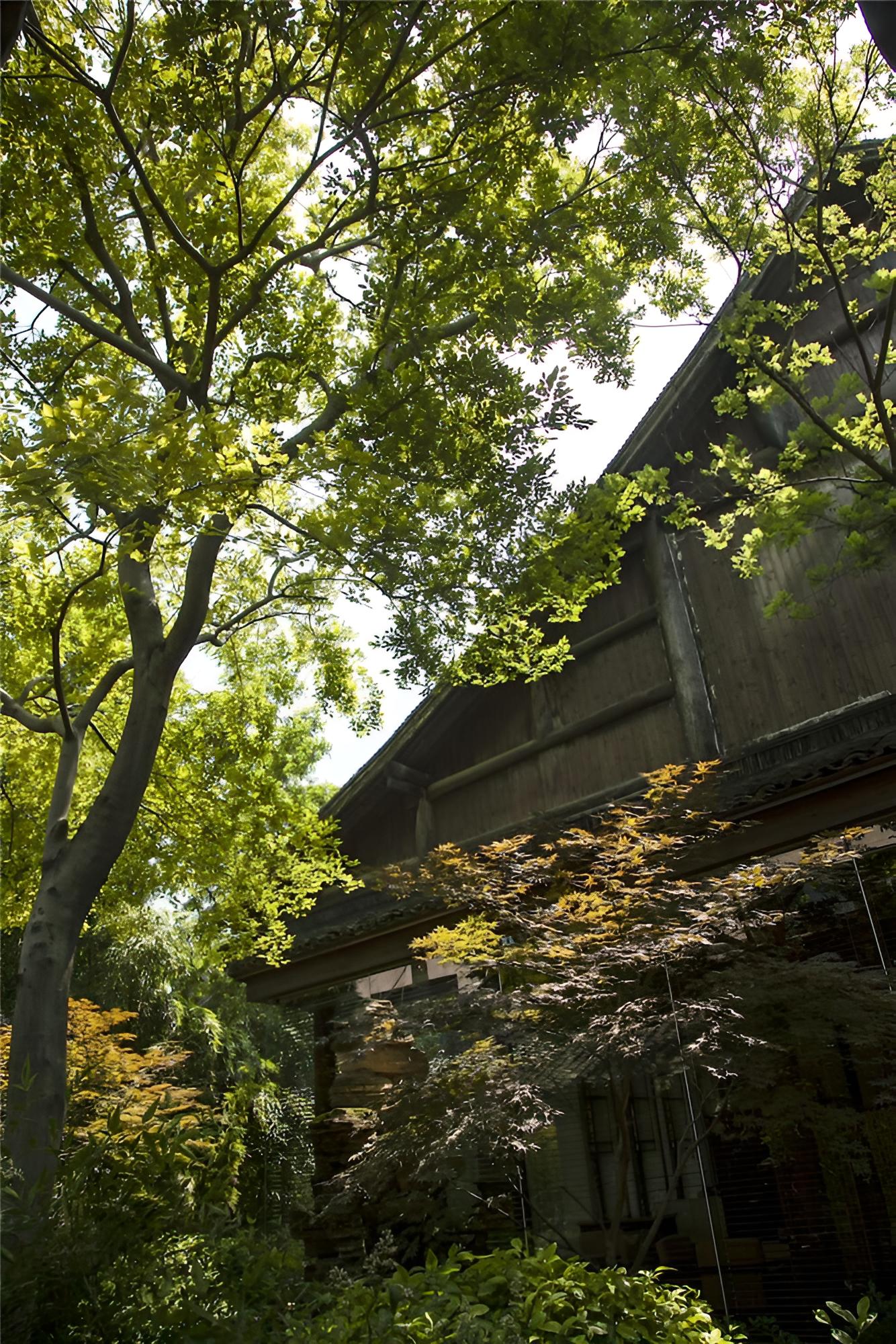 Wuzhen Clubhouse