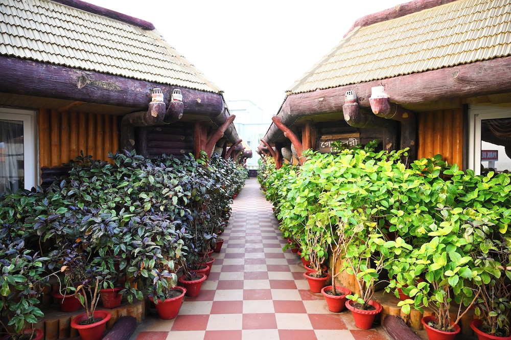 ECKO Beach Front, Puri