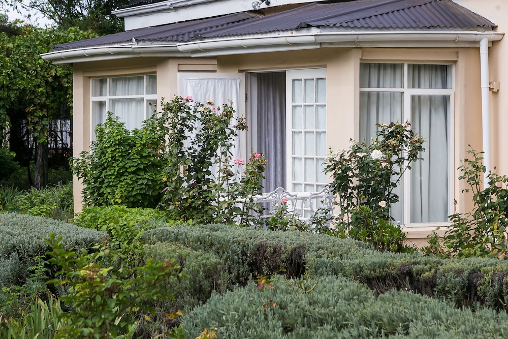 Albert House B&B