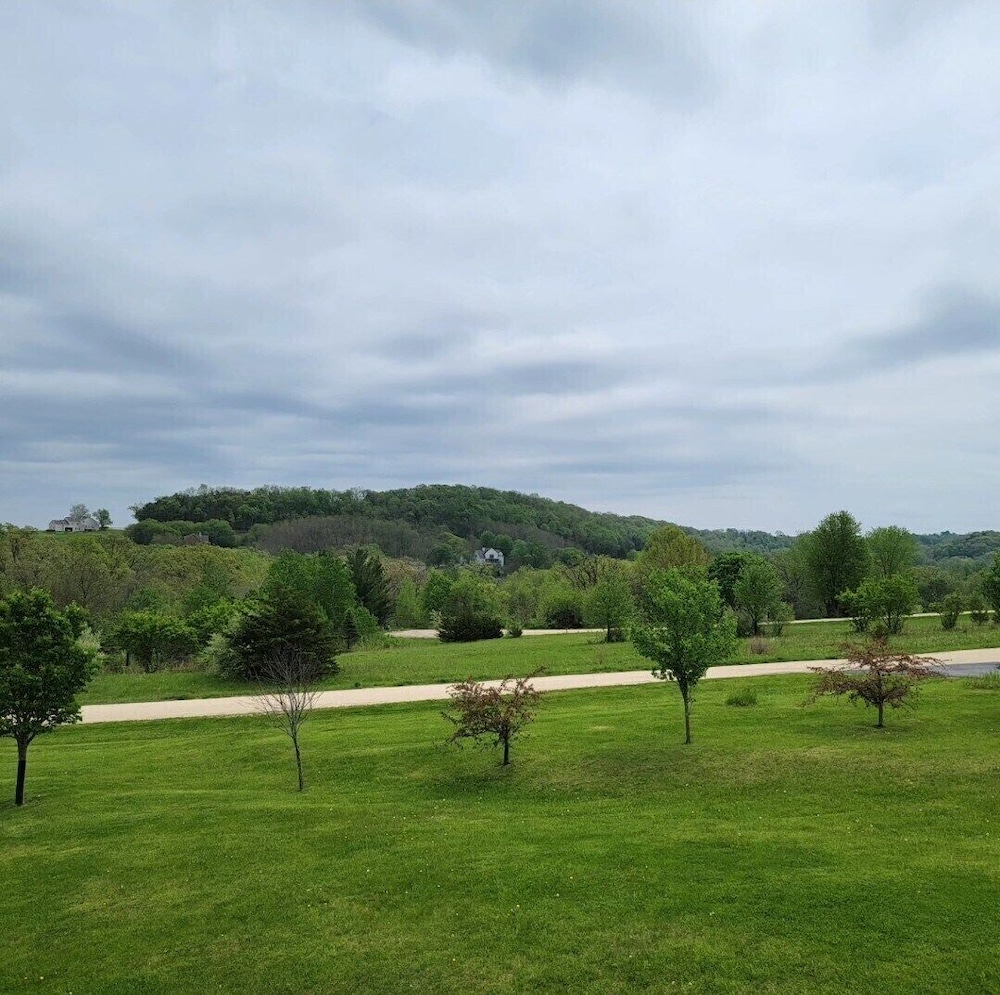 Olive Tree Rentals