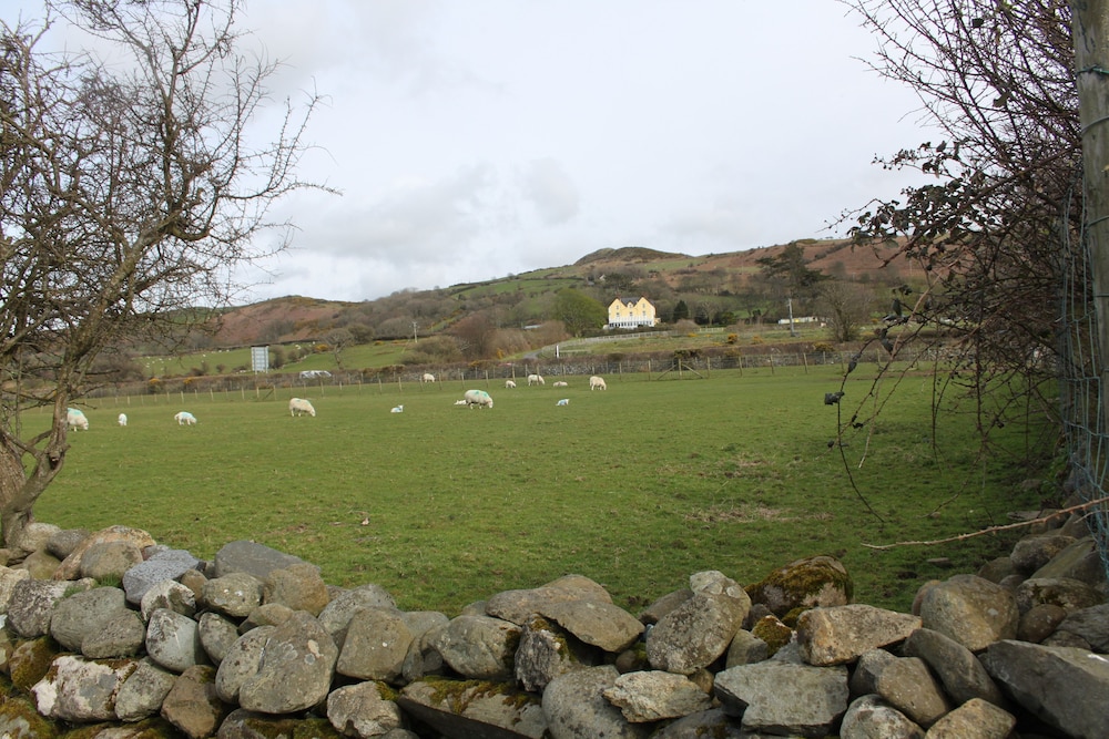 Bryn Eisteddfod B&B