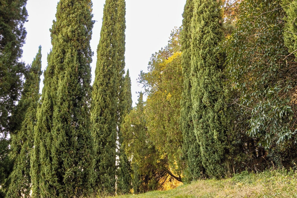 Villa Col di Luna-ProseccoHills