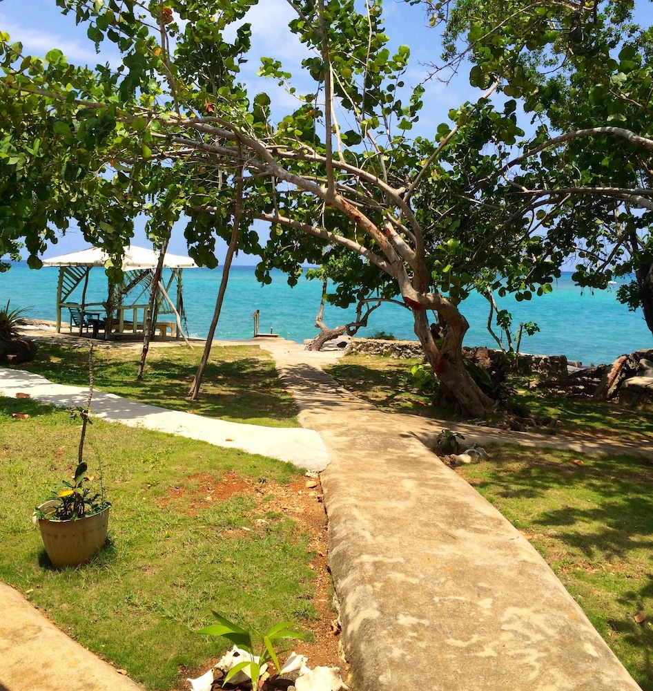 Little Bay Cabins