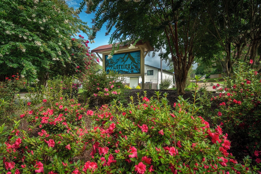 Loreley Resort