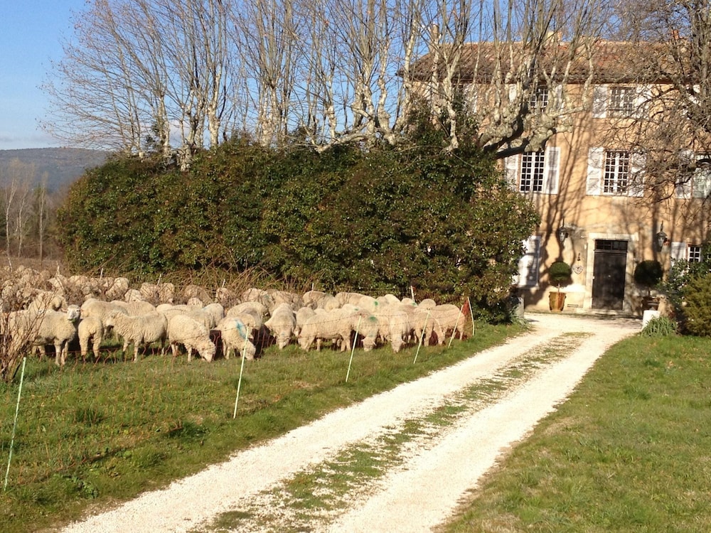 Domaine le Clos du Pavillon