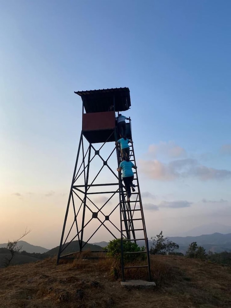 Coorg Tree House