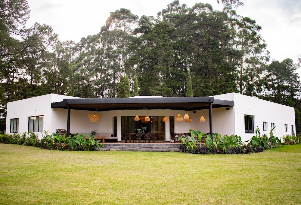 Monarch Campestre