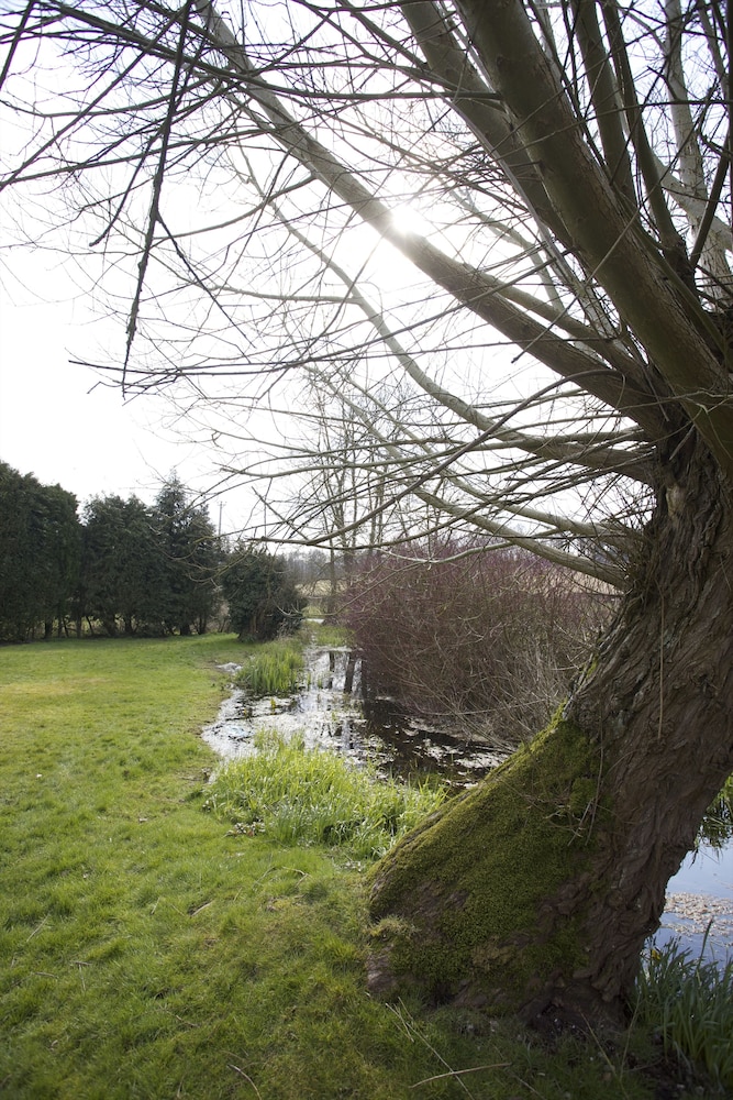 Bourne Valley Inn