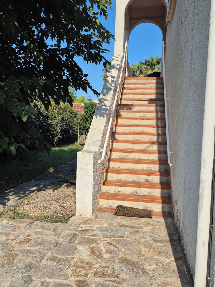 LES AGRUMES