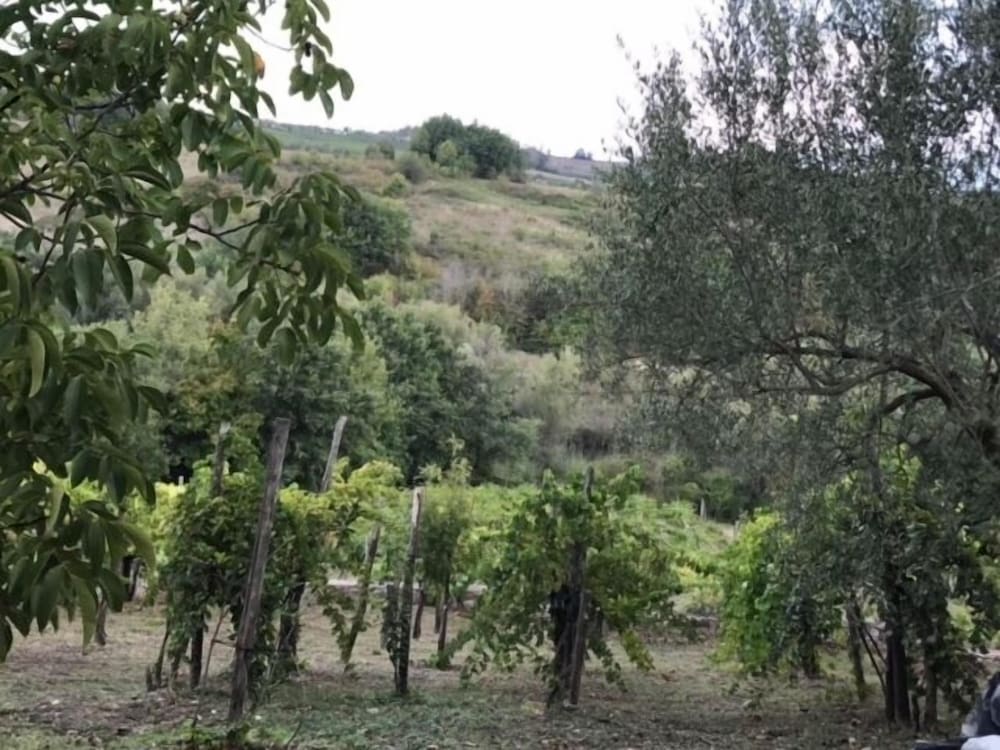 Antico Casale di Campagna