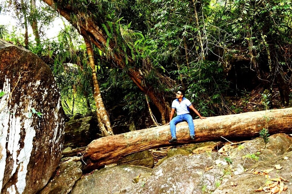 Makeliya Jungle & Waterfall Tour