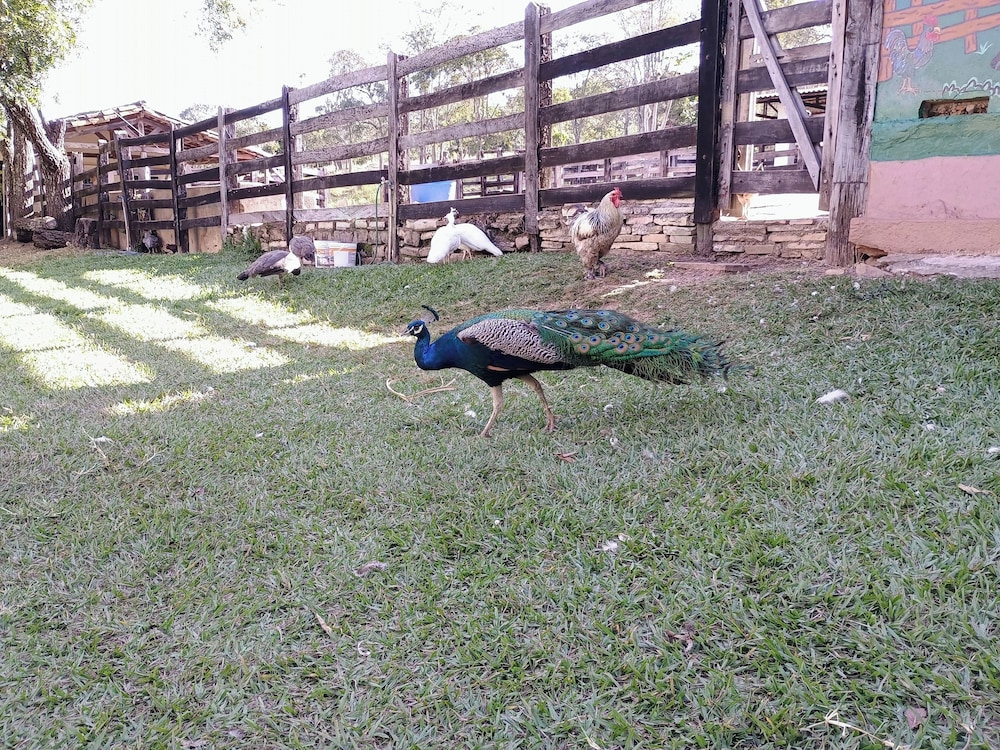 Hotel Fazenda Aguas VIvas