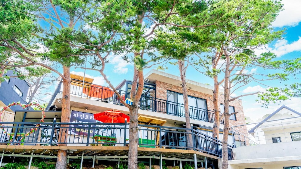 Goseong Pinetree Pension