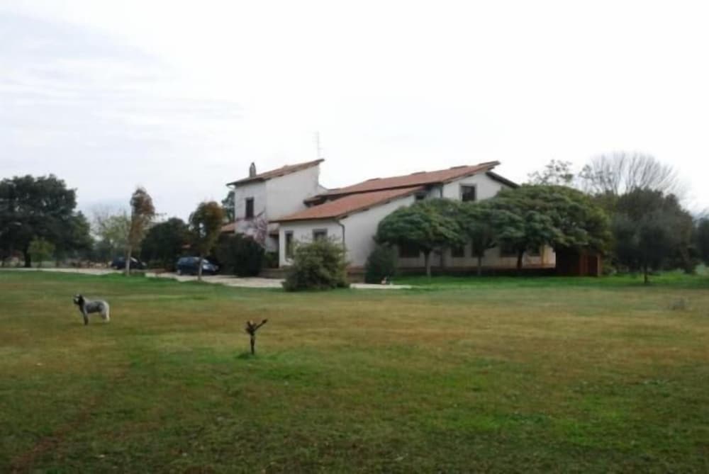 Photo 49