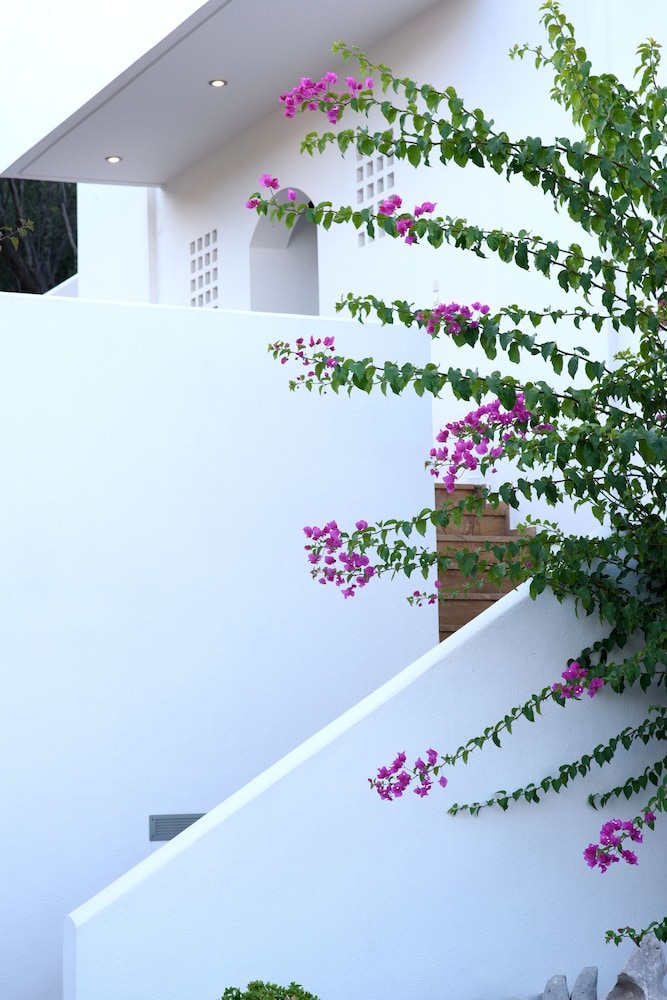 Melia Sol Art Studios