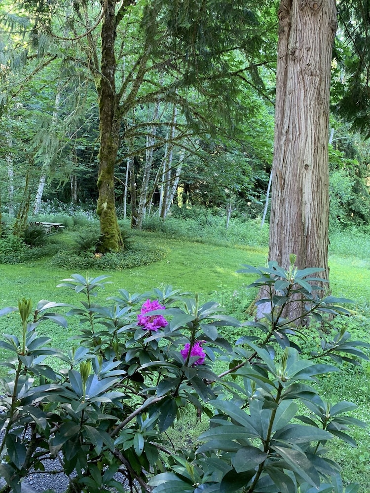 Mountain Meadows Inn