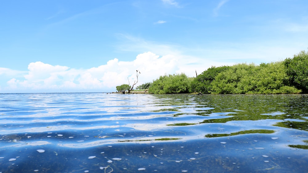 San Felipe Inn Yucatan - Property Image 28