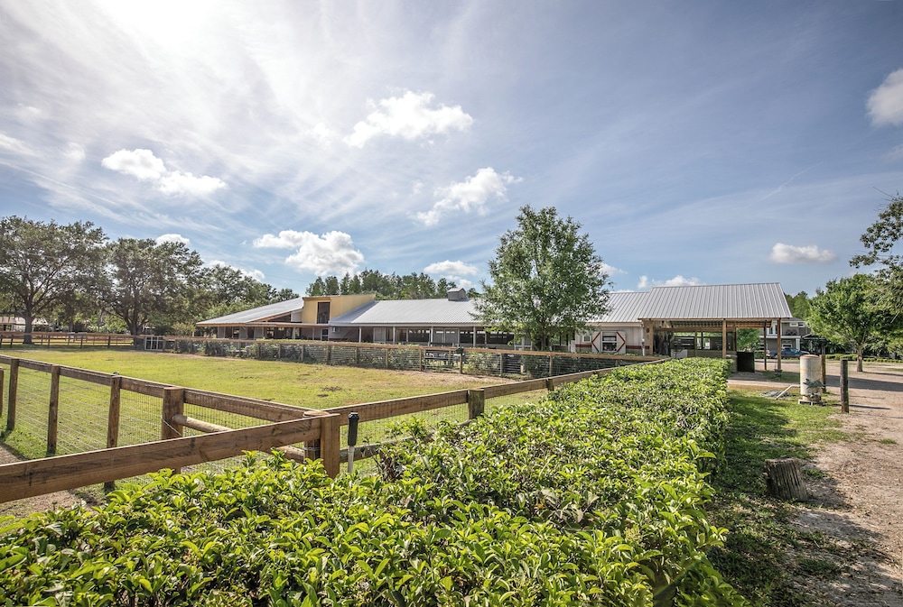 Pasture & Pond Views: Lovely Lutz Apartment