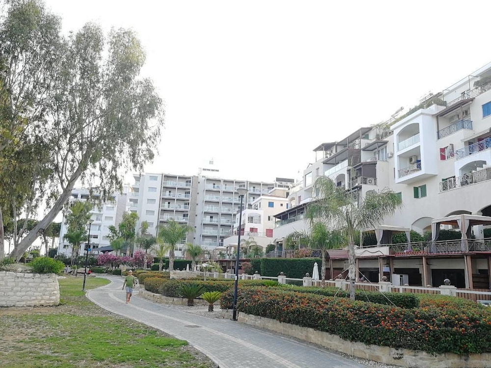 Photo 44