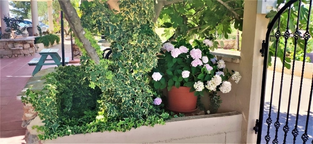 Photo 11