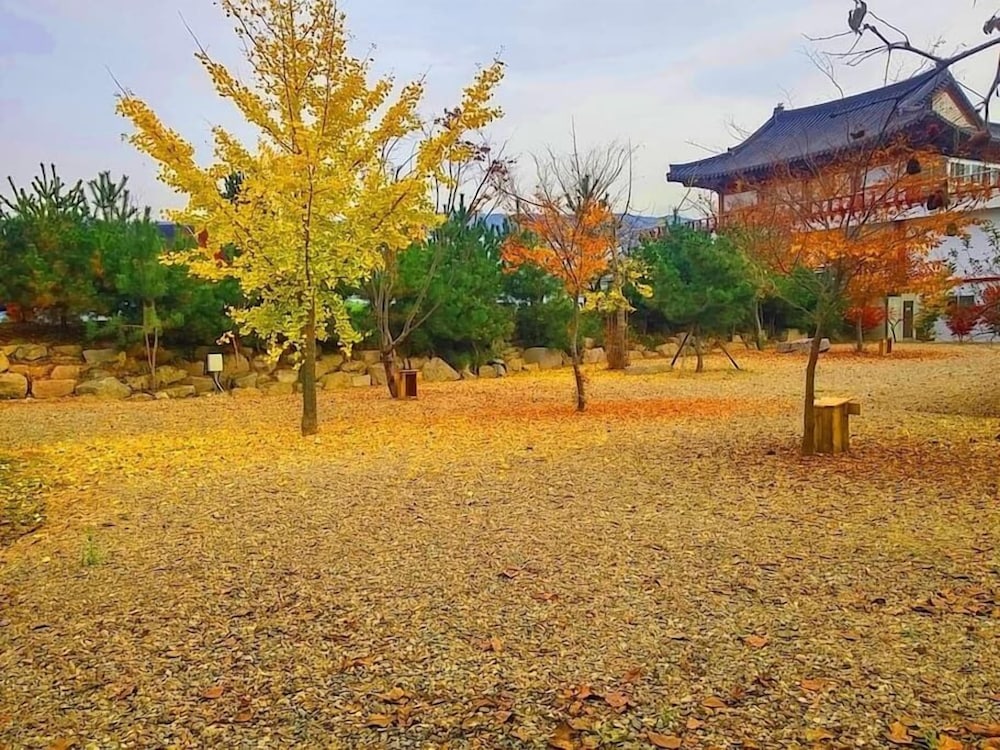 Chowoo Guesthouse