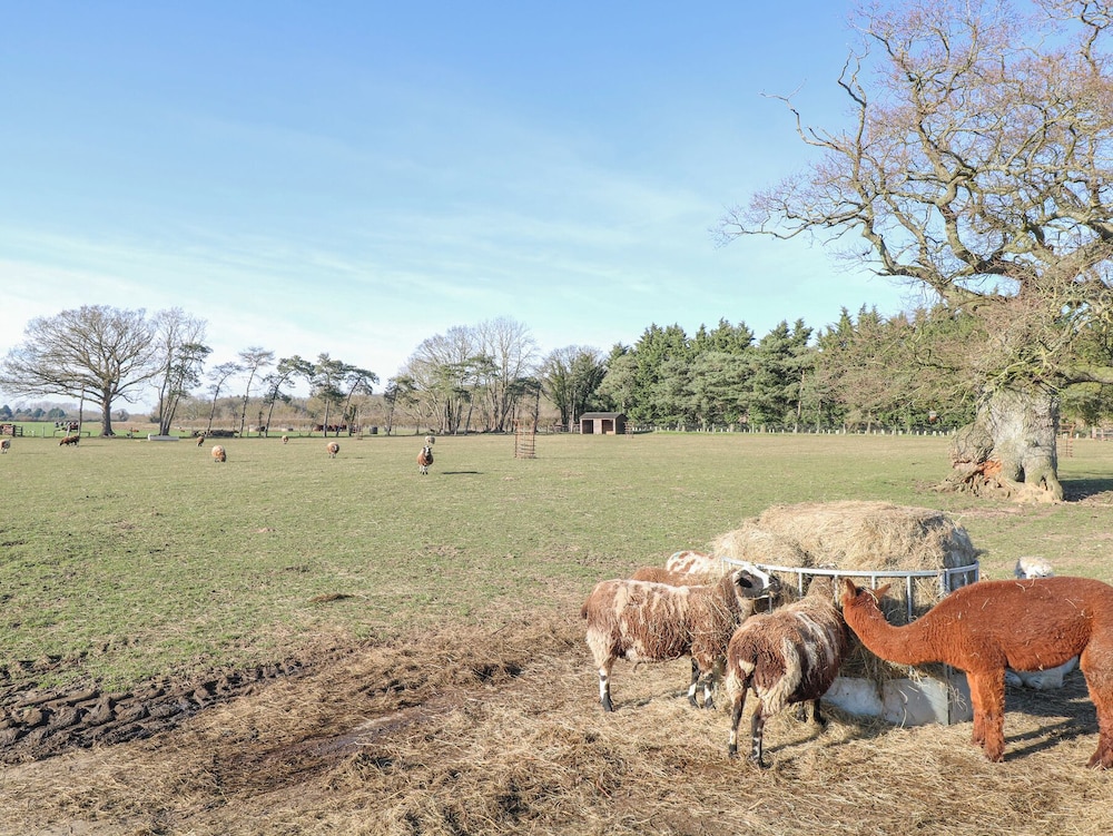 Shorthorn Barn