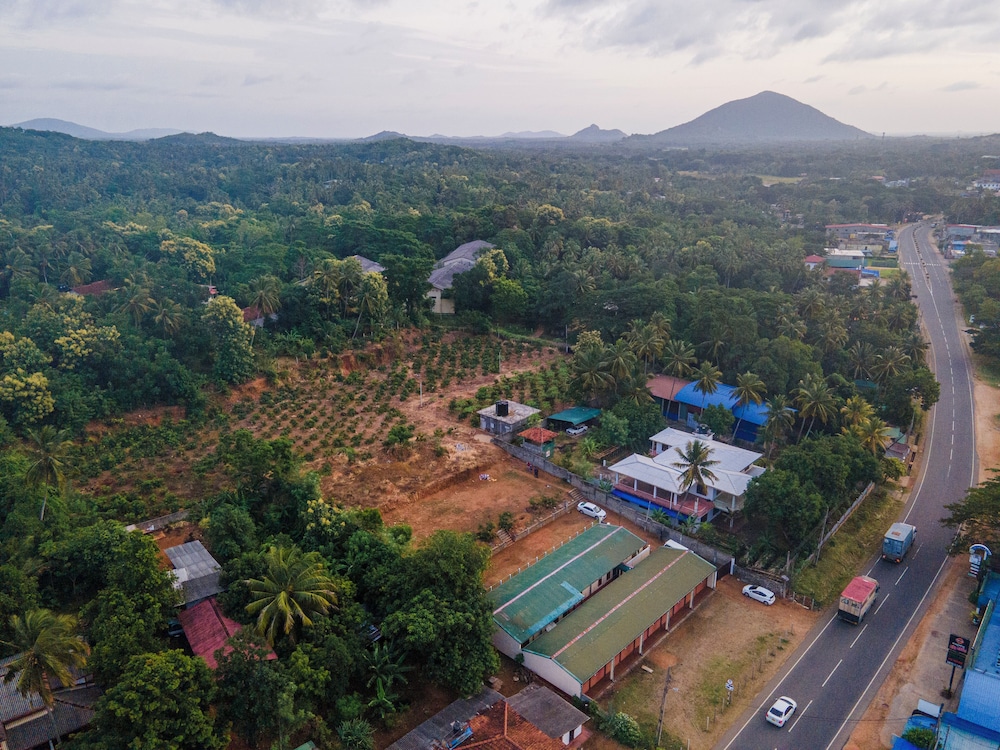 Mango Tree Retreat view 4