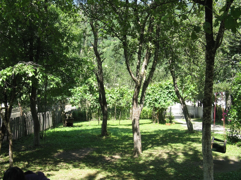 Photo 17
