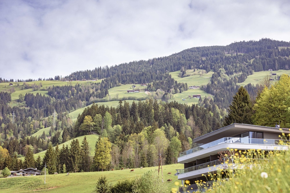 Cosy Apartment on the Ski-slope