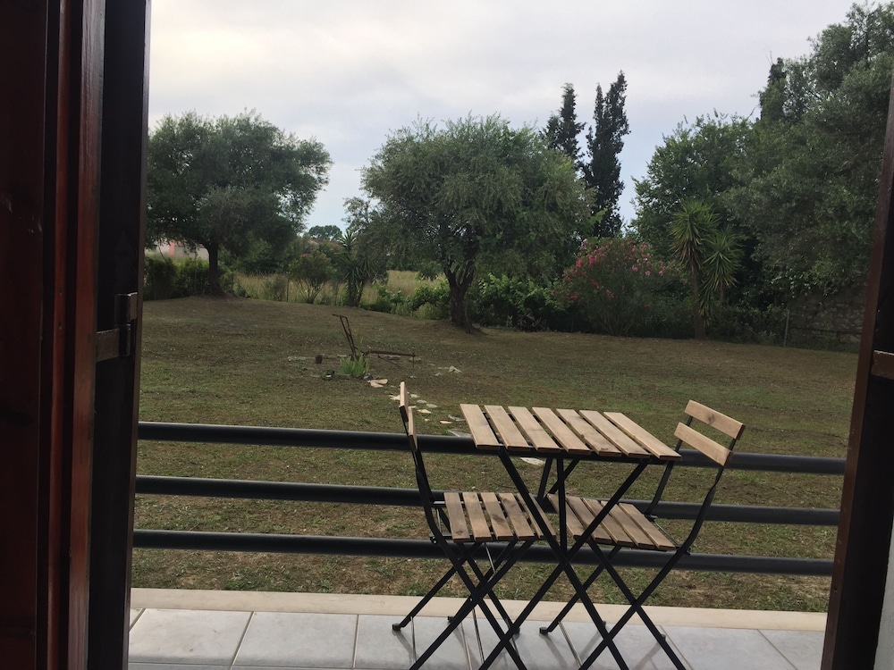 Photo 31