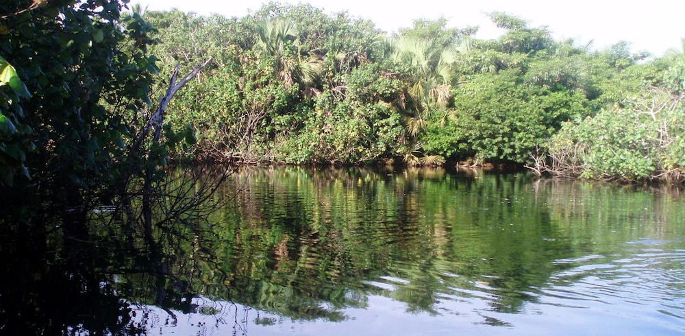 Terrazas del Rinconcito