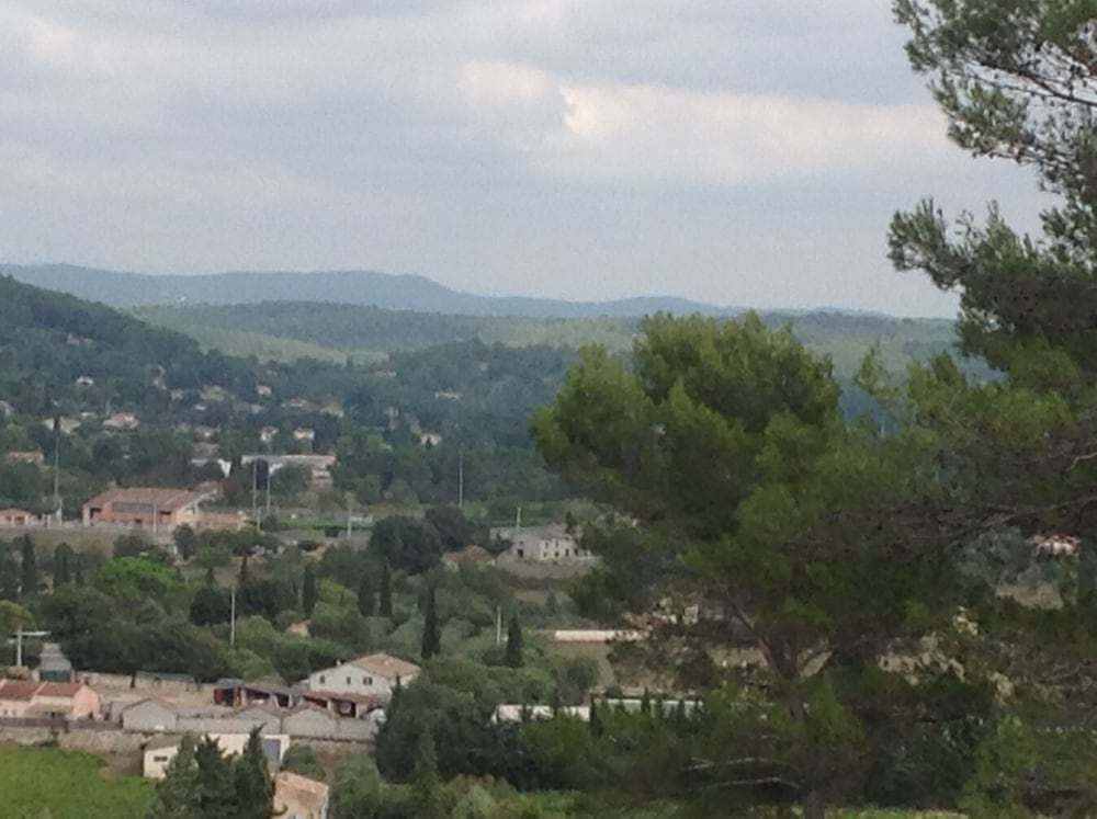 Photo 51