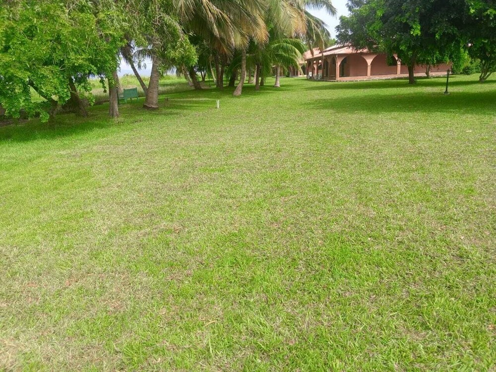 Mekandi Riverside Resort