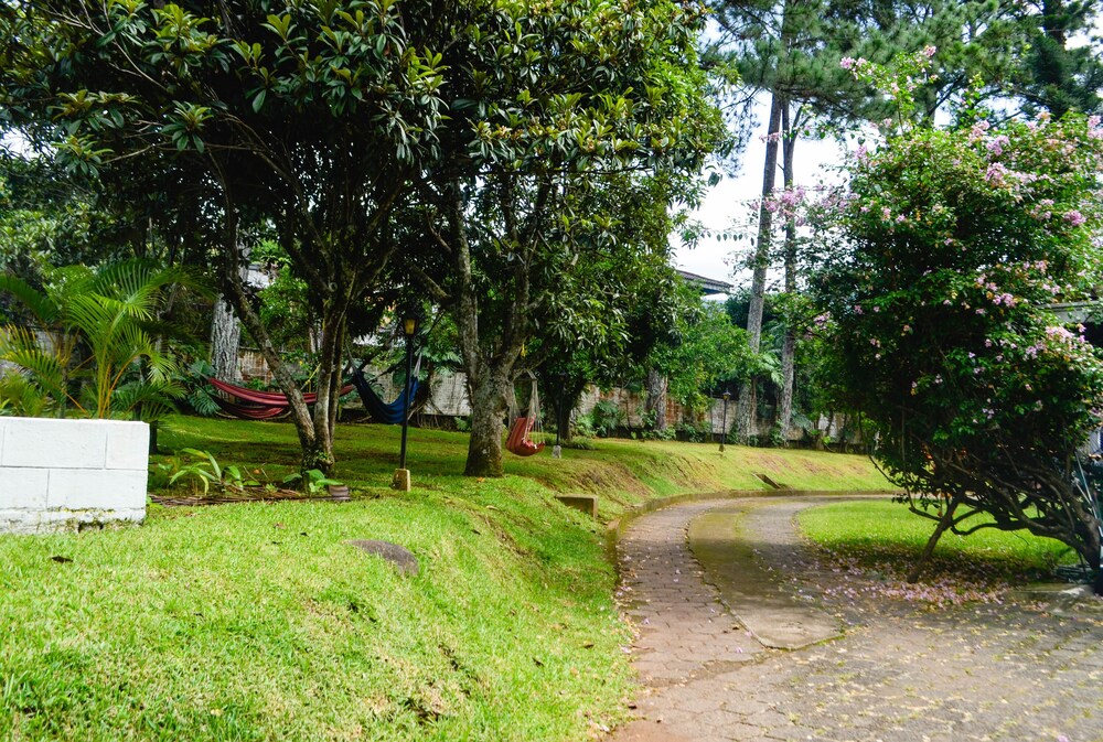 Robles Hostel - Property Image 5