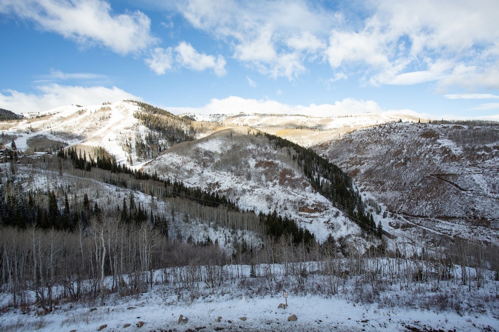One Empire Pass Lodge at Deer Valley Resort - Four Bedroom Residence #401 4 Condo