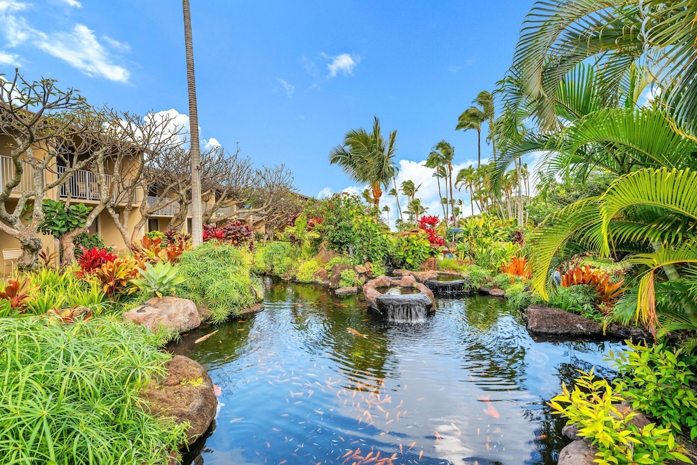 Napili Shores H262 in Lahaina
