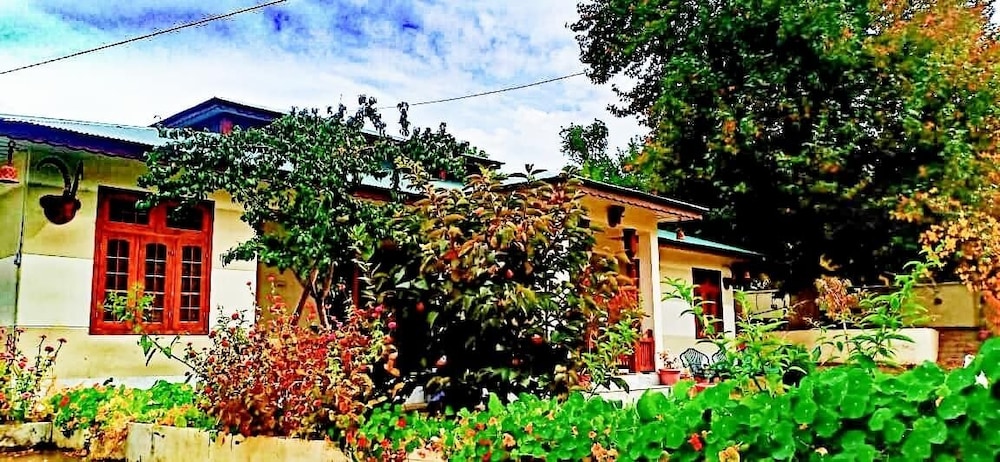 Photo 25