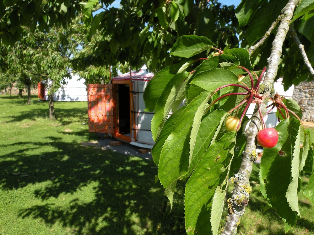 Nomade Lodge - Yourtes
