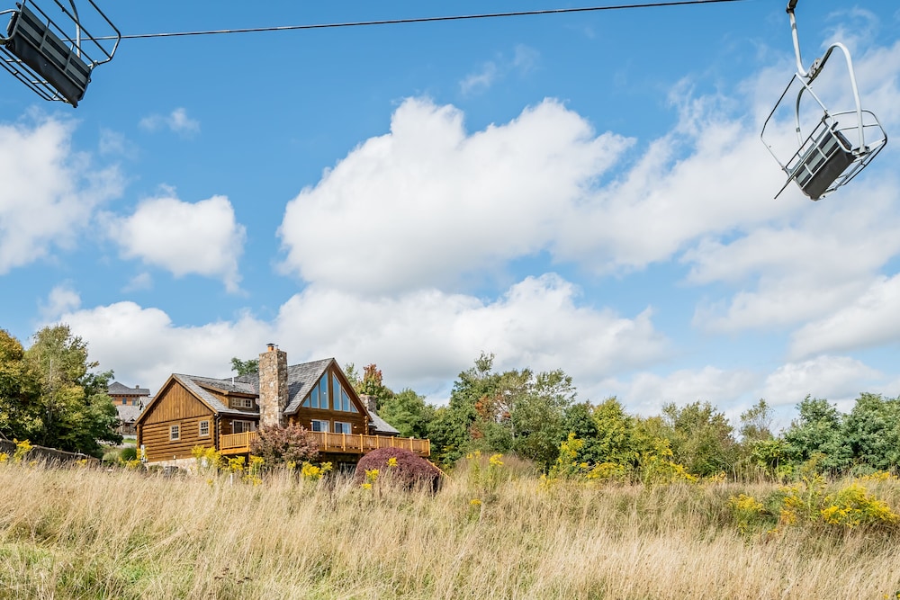 Wispy Business - Property Image 14