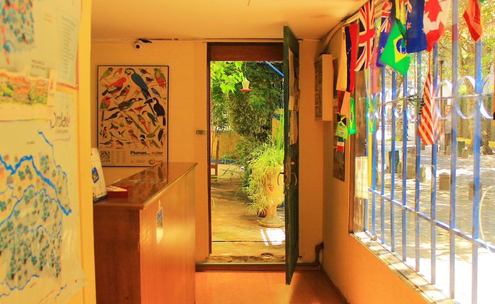 Posada del Maple - Hostel