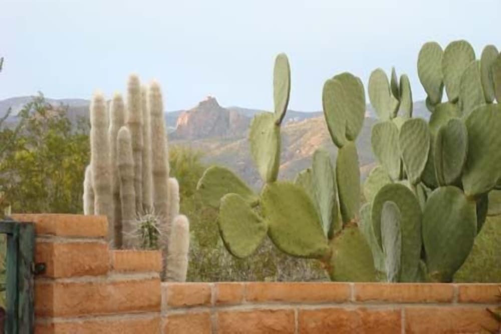 Photo 24