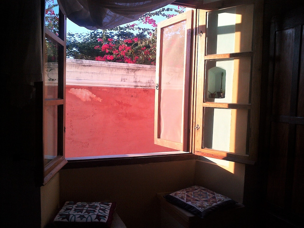 Jardim dos Aloés - Unique B&B, photo 95
