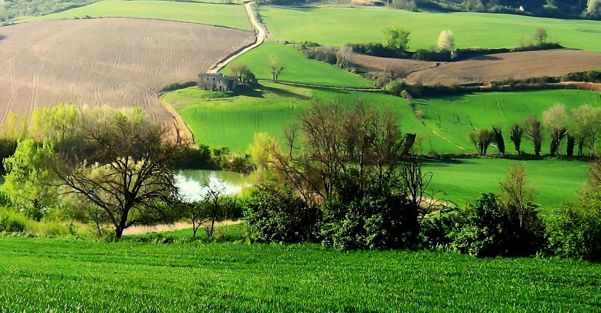 Casal Lorgnano view 4