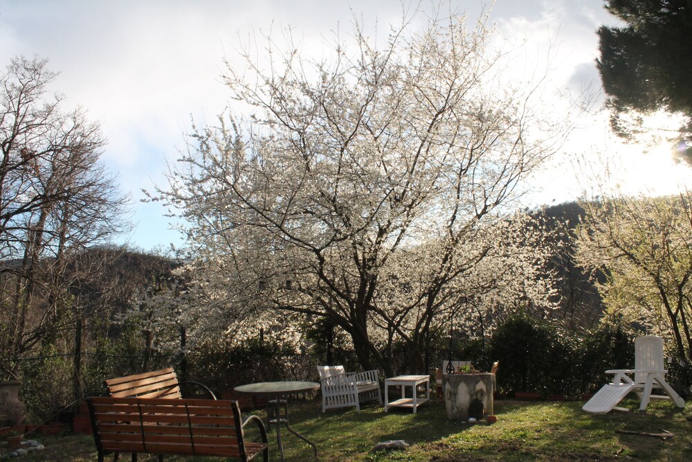 Photo 25