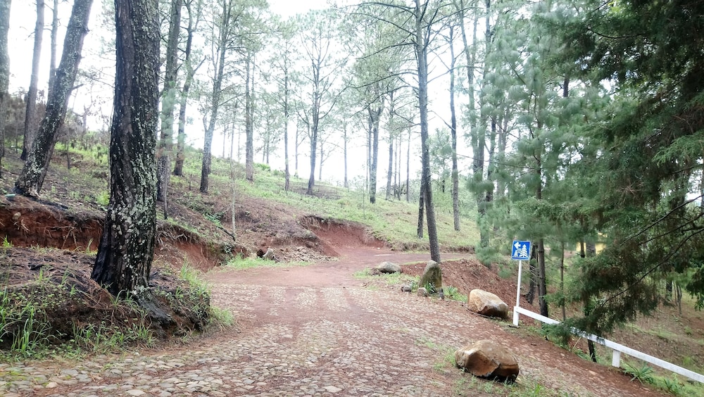 Cabañas el Pinar