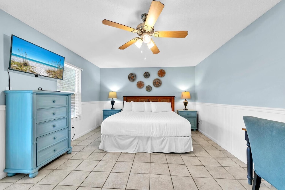 Sand Dollar