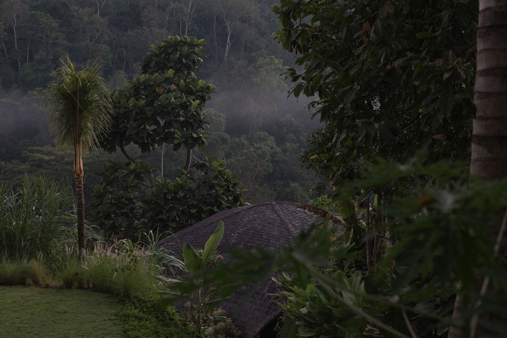 Belalu Bali Boutique & Spa Experience