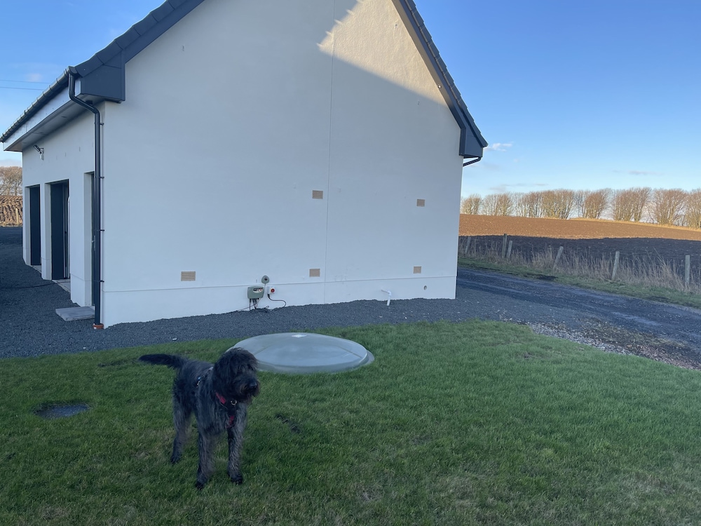 Photo 26